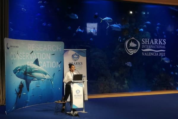  Description coming soon