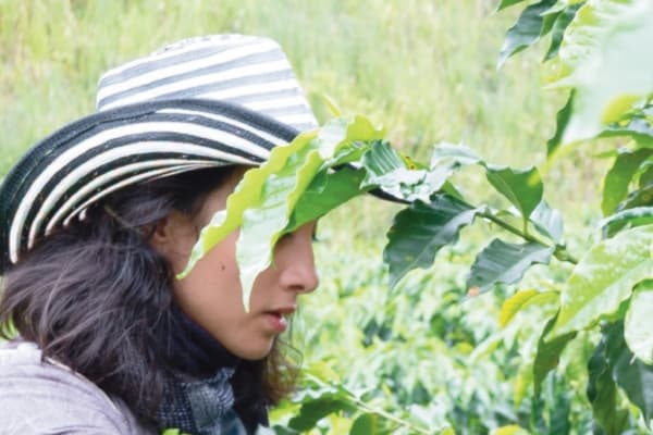 Image of person tending to tree © Eduard - Adobe Stock