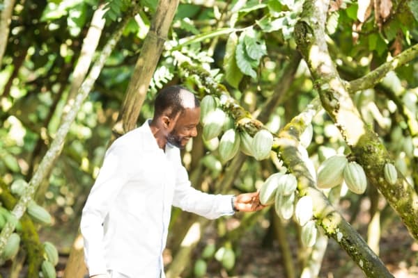  Description coming soon