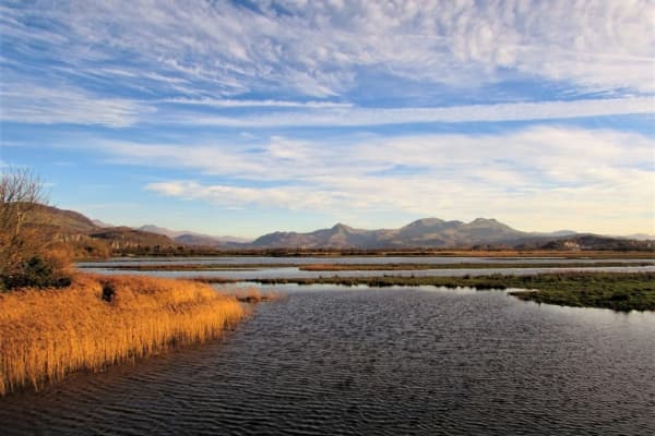  Description coming soon