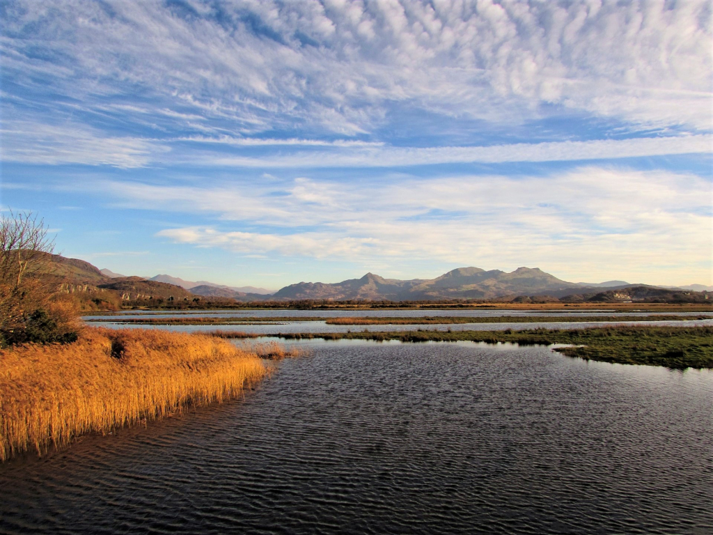 Snowdonia scene with wetland and peaks in the distance