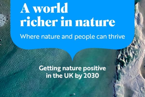 Cover image of RSPB report: a world richer in nature. where nature and people can thrive. Getting nature positive in the UK by 2030. Background image: Snettisham landscape drone coastal aerial view of Norfolk coast, Diana Buzoianu (Shutterstock)