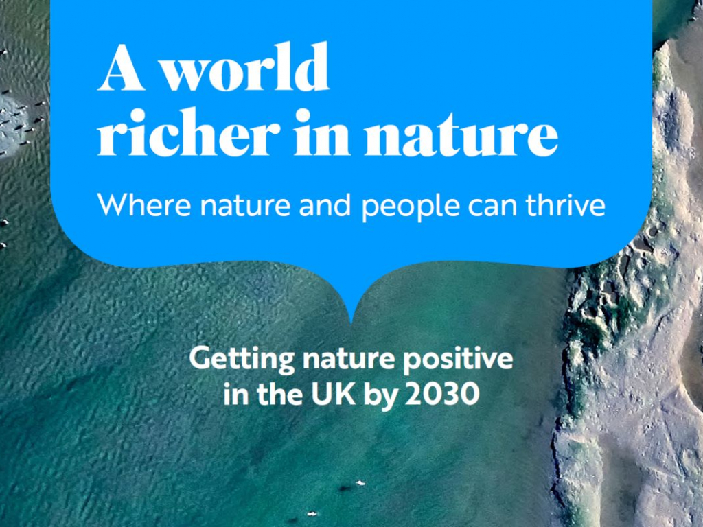 Cover image of RSPB report: a world richer in nature. where nature and people can thrive. Getting nature positive in the UK by 2030. Background image: Snettisham landscape drone coastal aerial view of Norfolk coast, Diana Buzoianu (Shutterstock)