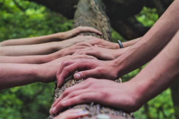  Description coming soon