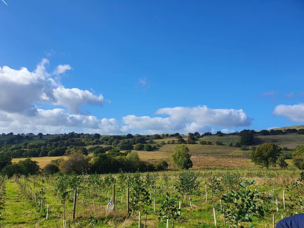 Nature-based Solutions Initiative | NbSI visit Carbon Community field site