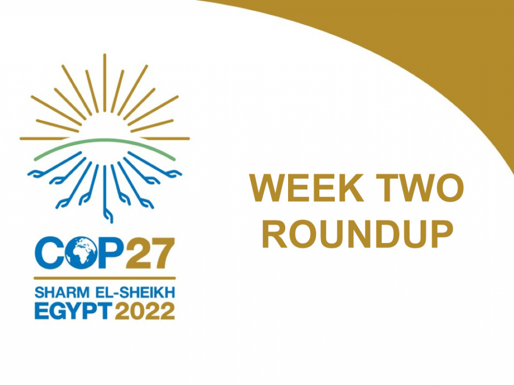 COP27 Logo. Text: COP27. Sharm El-Sheikh. Egypt 2022. Week two roundup.