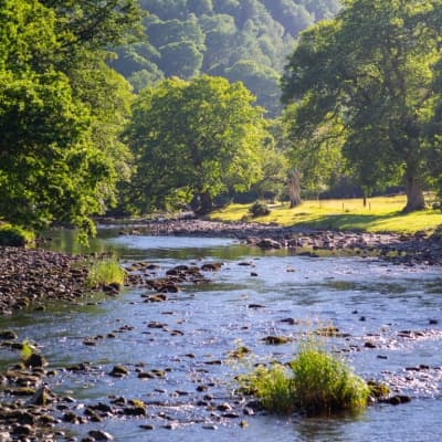 A stream in Wales. Photo by Daniel Seßler on Unsplash.