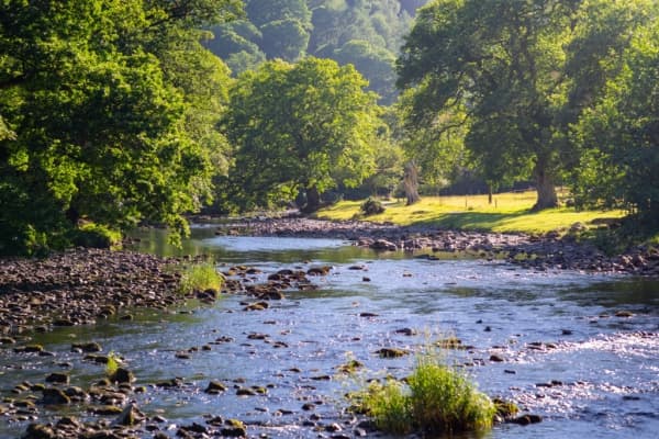 A stream in Wales. Photo by Daniel Seßler on Unsplash.