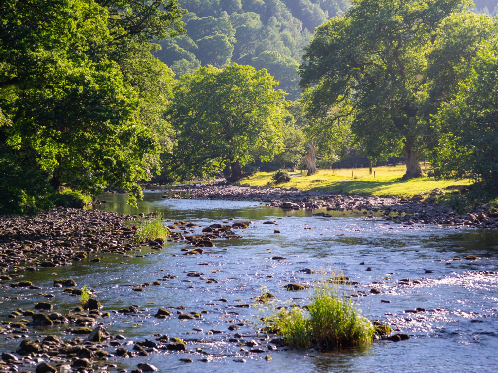 A stream in Wales. Photo by Daniel Seßler on Unsplash.