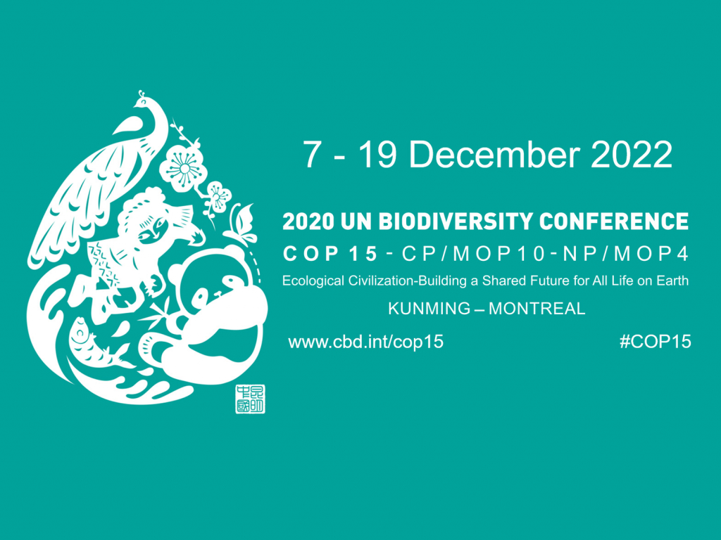 The hopes of NbSI and the biodiversity community for COP15