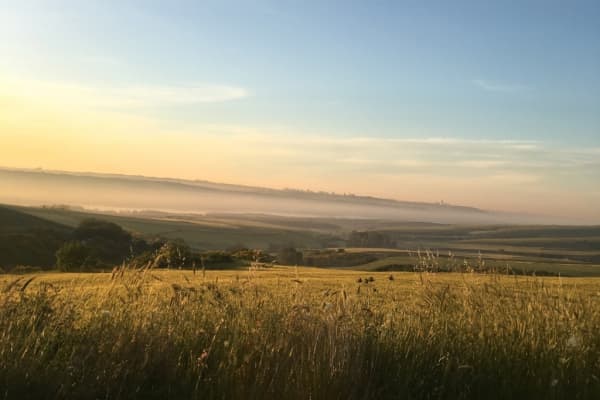  Description coming soon