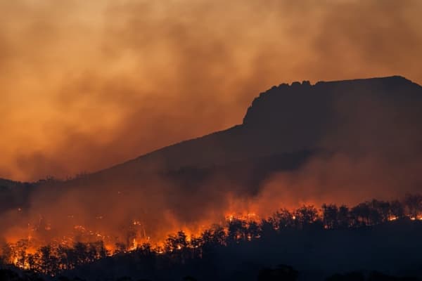  Description coming soon