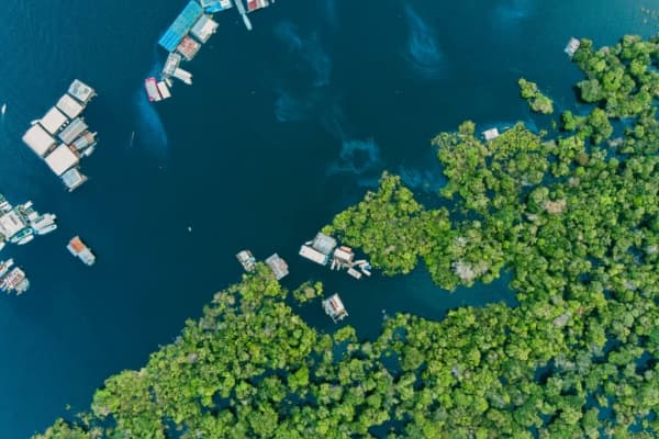  Description coming soon