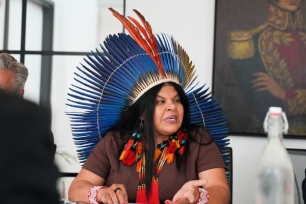 Sonia Guajajara, Brazil