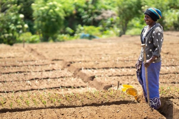 Women planting