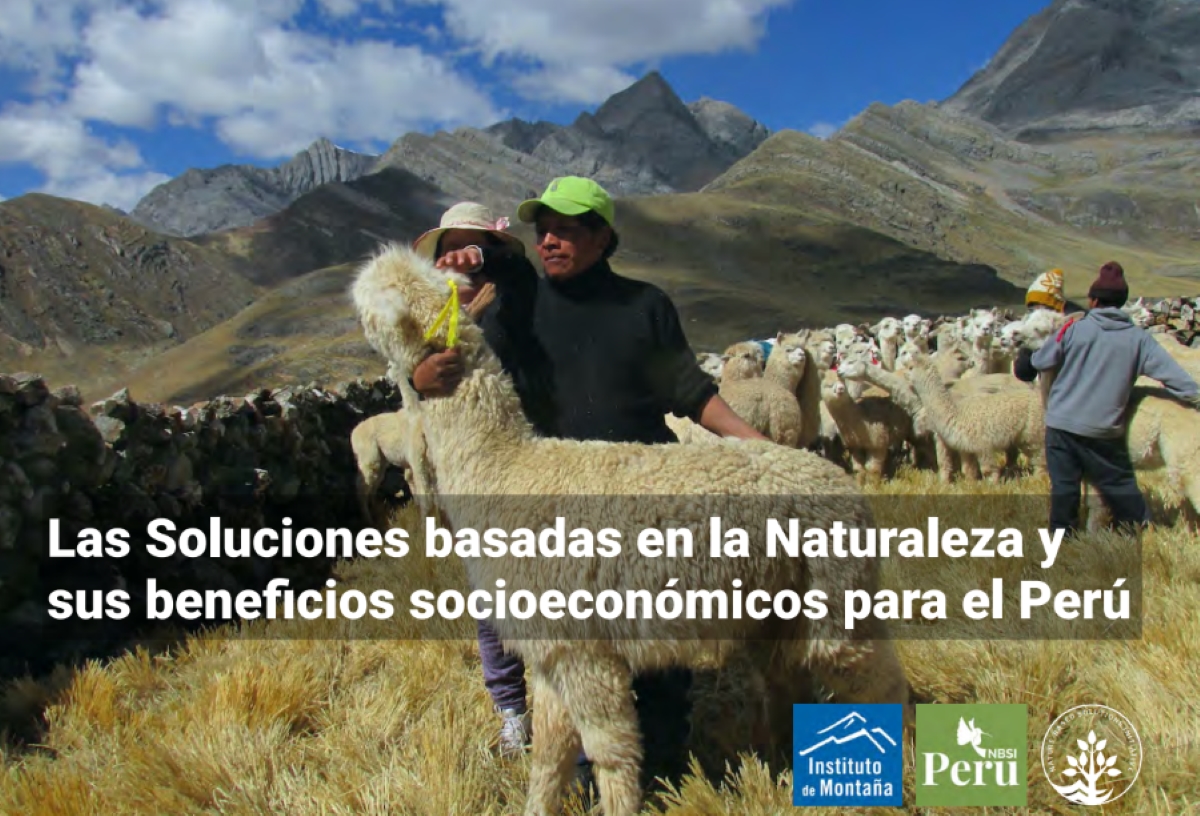 New evidence that nature-based solutions can support economic recovery in Peru