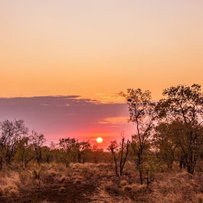 African landscape at sunset