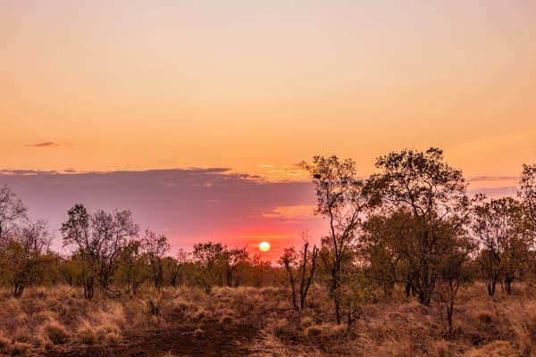 African landscape at sunset
