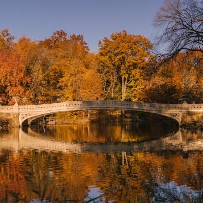 Bridge in Autumn