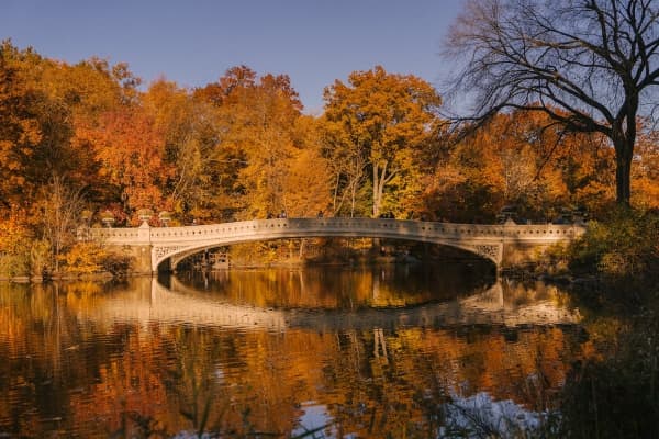 Bridge in Autumn