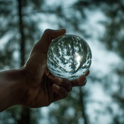 Holding up magnifying glass ball to forest