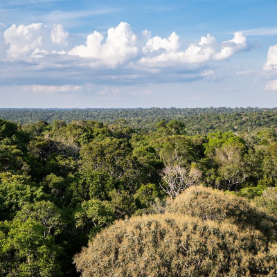Aerial shot over the Amaxon