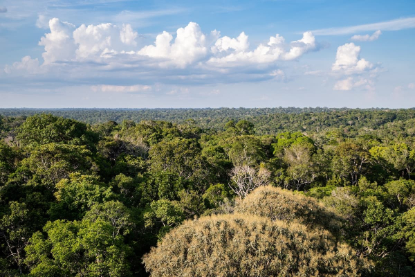 Aerial shot over the Amaxon