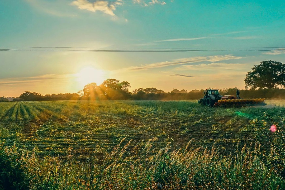  Description coming soon