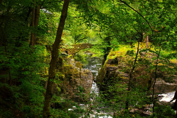  Description coming soon