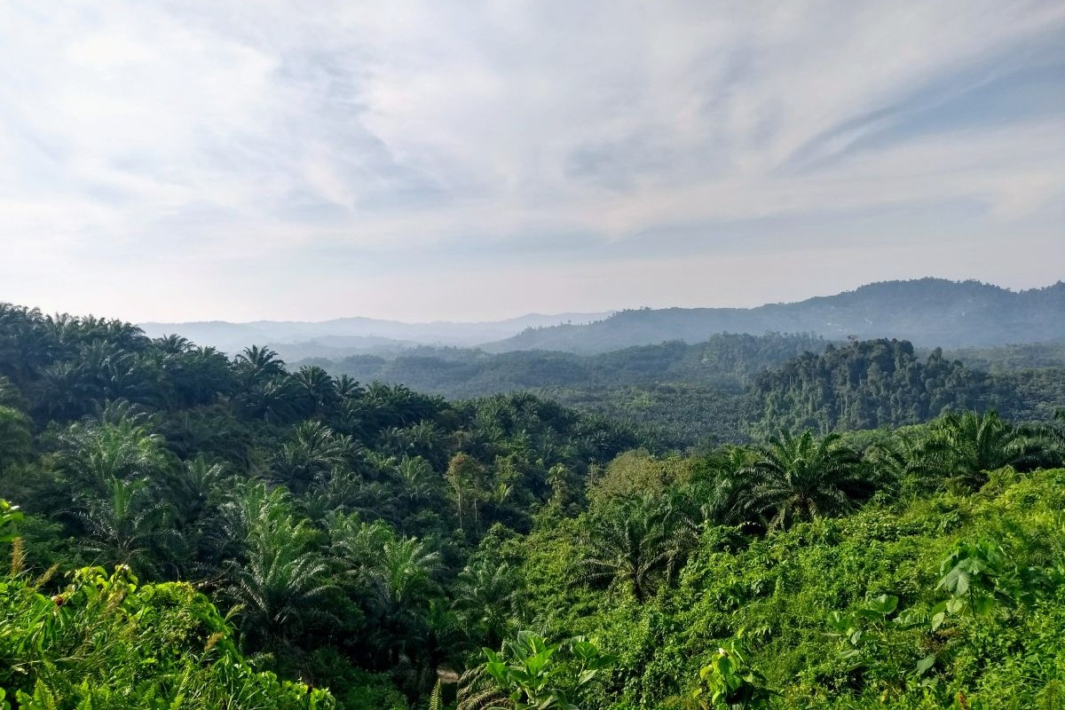  Description coming soon