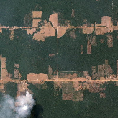 Fishbone Deforestation Rondônia, Brazil August 5, 2016