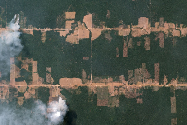 Fishbone Deforestation Rondônia, Brazil August 5, 2016