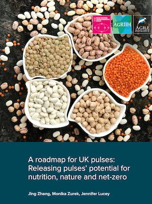 Cover of report