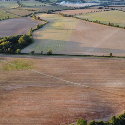 Drought hit fields