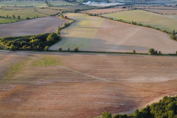 Drought hit fields